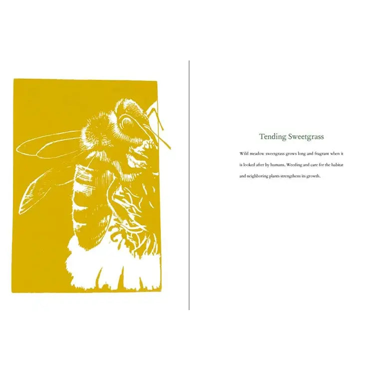 Braiding Sweetgrass: Robin Wall Kimmerer