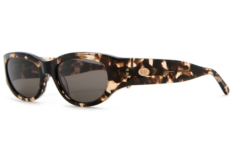 The Funk Punk - Desert Tortoise Bio Polarized