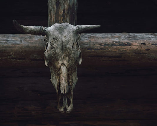 Murder at the Rattlesnake Saloon