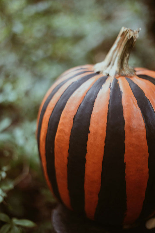 Pumpkin Painting