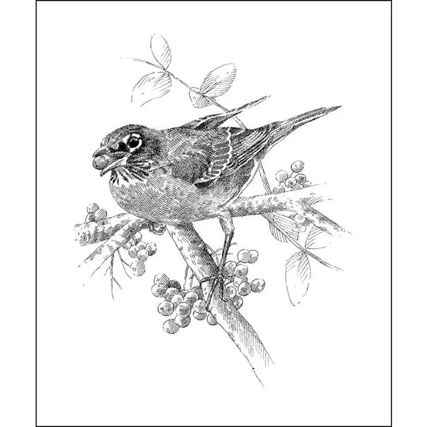 The Serviceberry: Robin Wall Kimmerer