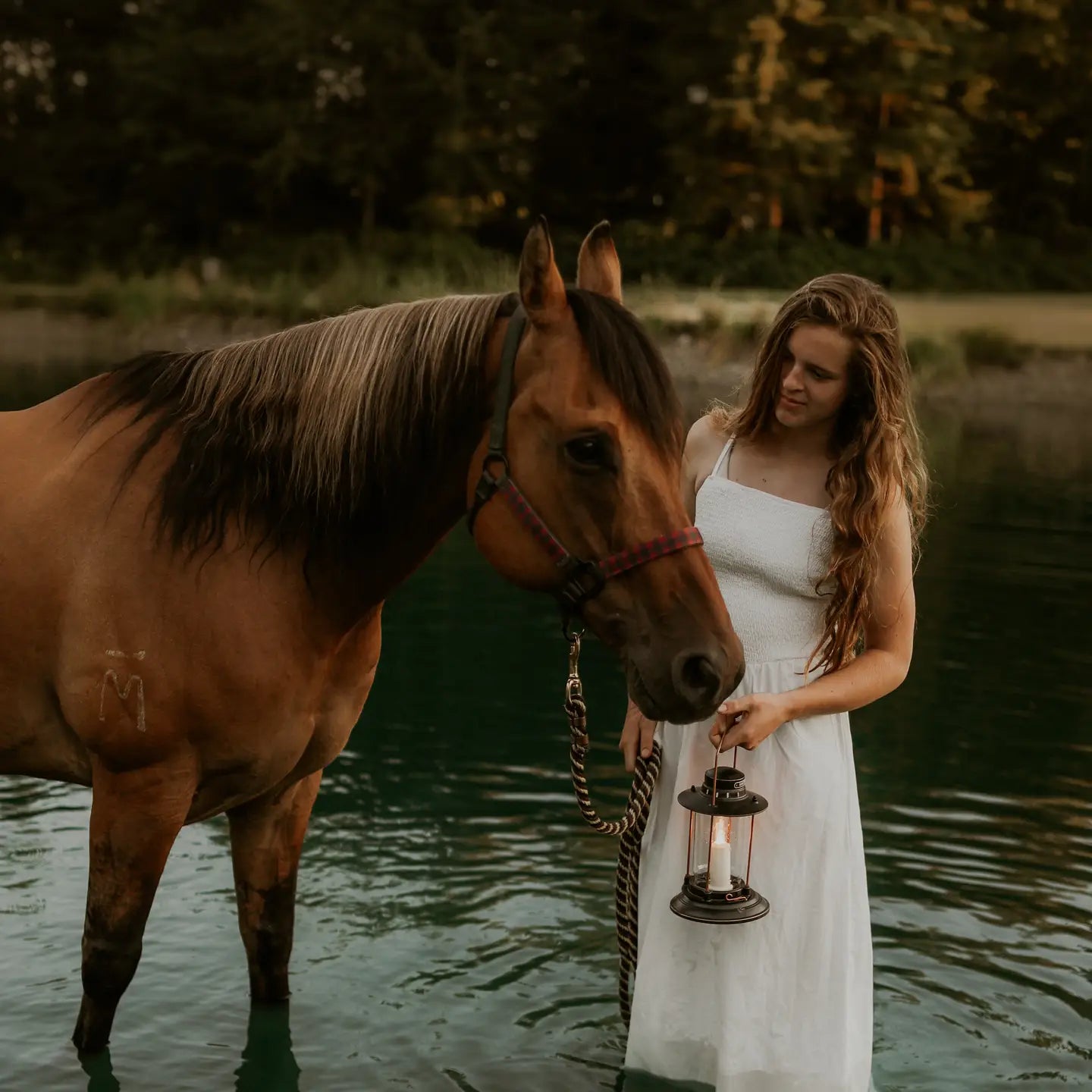 Hurricane Lantern - Candle Holder